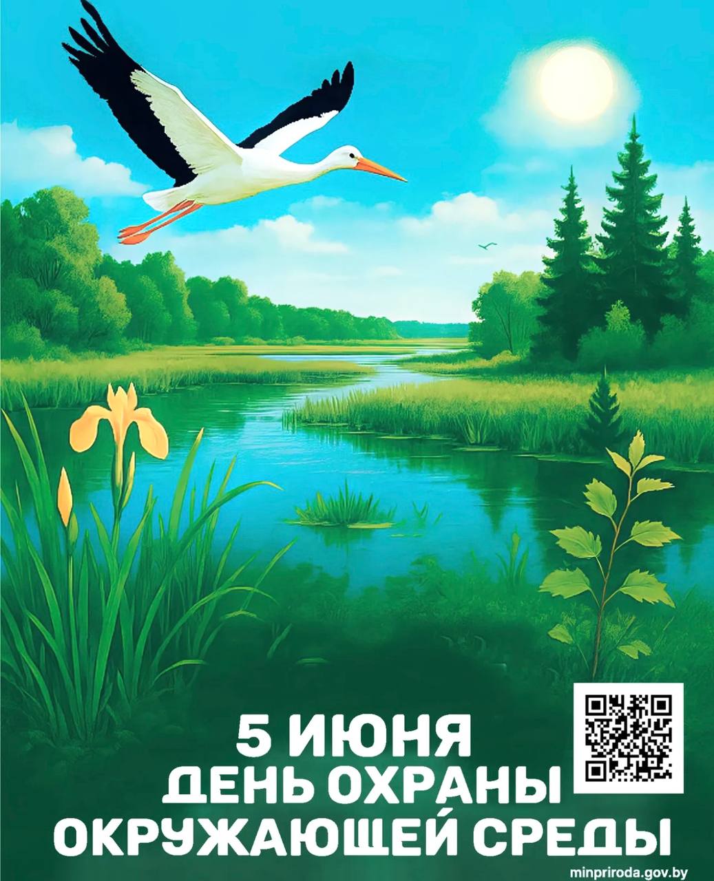 05 06 25 06