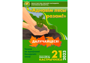 Акцыя &quot;Аднавім лясы разам!&quot; адбудзецца 21 кастрычніка