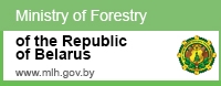 http://mlh.gov.by/en/forestry/resources.html