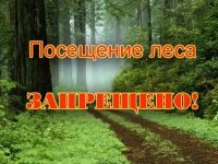 Інфармацыя аб уведзеных забаронах на наведванне лясоў па стане на 08.06.2018